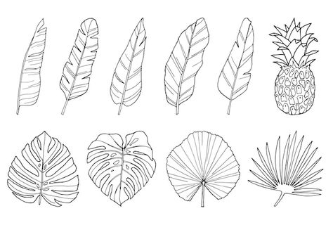 Palm leaf hand drawn illustrations set o... | Premium Vector #Freepik #vector #tropical-elements #plant-outline #leaf-illustration #tropical-plants Palm Leaf Illustration, Palm Leaf Drawing, Plant Outline, Tropical Elements, Line Art Black, Leaf Outline, Abstract Leaves, Leaf Illustration, Doodle Ideas