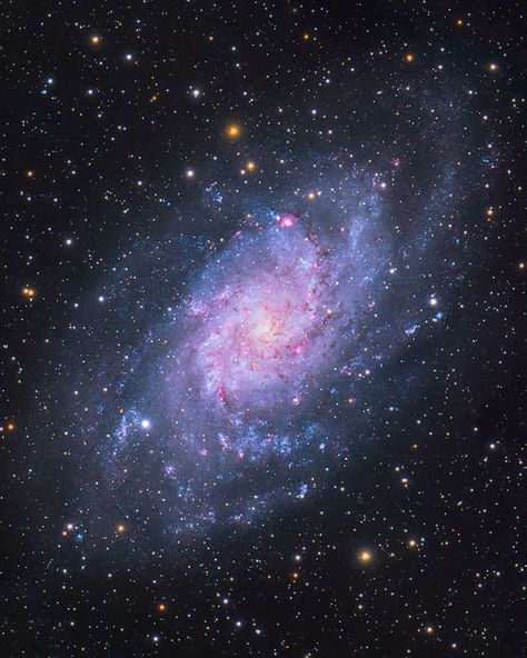 The Triangulum Galaxy | Second Nearest Spiral Galaxy to the Milky Way Telescope Pictures, Triangulum Galaxy, Hubble Space Telescope Pictures, Super Photo, Natural Objects, Other Galaxies, Nebulas, Star Formation, Spiral Galaxy