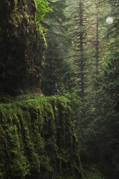 Swift Party, Forest Aesthetic, Eagle Creek, Beautiful Places On Earth, Alam Yang Indah, Nature Aesthetic, Pretty Places, In The Forest, Amazing Places