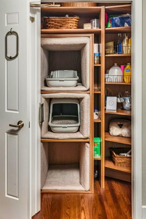 Litter Box Room, Laundry Room Cat Litter, Hidden Cat Litter Box Ideas, Diy Cat Litter Box Ideas, Hidden Bedroom, Workshop Decoration, Cat Litter Box Ideas Hidden, Box Room Ideas, Hidden Laundry Rooms