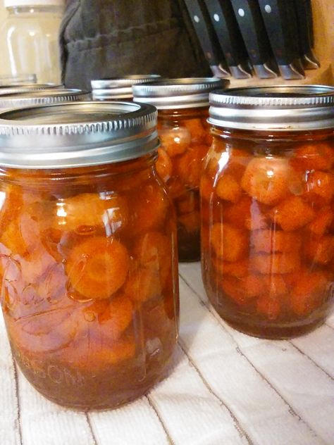 Glazed Canned Carrots, Glazed Canned Carrots Recipe, Canned Candied Carrots Recipe, Pressure Canned Carrots, Preserving Carrots Canning Recipes, Bottled Carrots Recipe, Canning Candied Carrots, Can Carrots Recipe, Carrot Canning Recipes