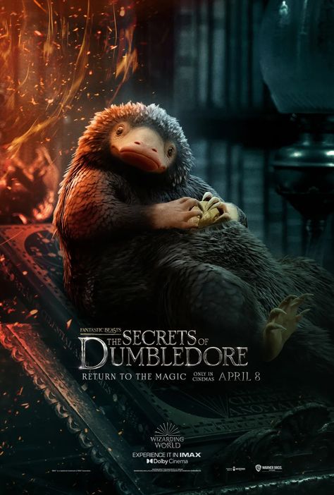 Revealed: The Fantastic Beasts: Secrets of Dumbledore posters | Wizarding World Fantastic Beasts Poster, The Secrets Of Dumbledore, Secrets Of Dumbledore, Fantastic Beasts Series, Fantastic Beasts Movie, Dark Wizard, Cinema Experience, Images Harry Potter, Newt Scamander