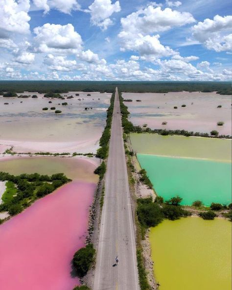 Las Coloradas Yucatán Vacation Spots, Country Roads, Road, Water, Mexico