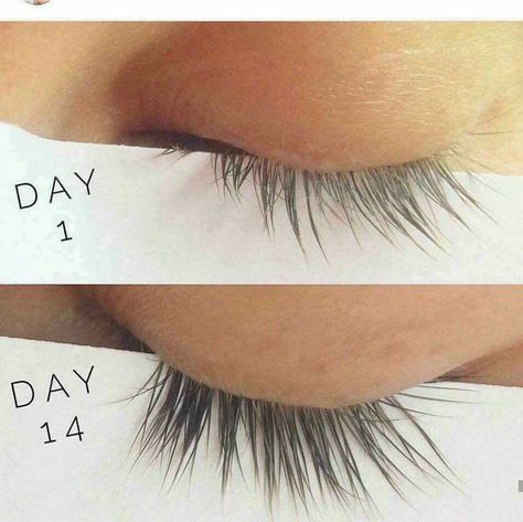 Fm Makeup, Best Natural Foundation, Younique Marketing, Make Eyelashes Longer, Fm Cosmetics, Lash Growth, Brow Serum, Natural Foundation, Eyelash Serum