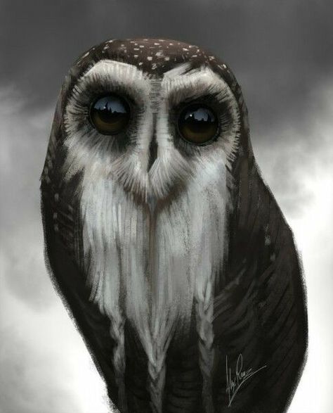 So beautiful Owl Photos, Owl Pictures, Beautiful Owl, Owl Tattoo, Owl Bird, Art Masters, Owl Art, Barn Owl, Cute Owl