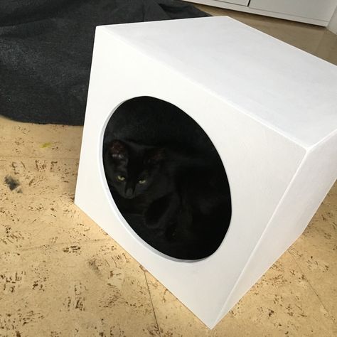 Cats would buy IKEA. ❤️ Ikea Hacks For Cats, How To Train Cats, Ikea Cat, Rambo 3, Train Cats, What Cats Can Eat, Cat Climbing Wall, Rabbit Houses, Cat Lounge