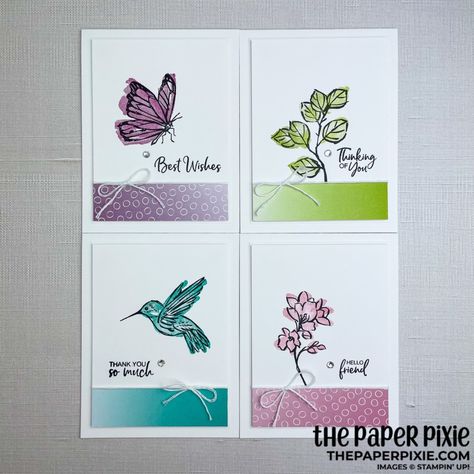 Cards with a Touch of Ink - The Paper Pixie Ombre Cards, The Paper Pixie, Paper Pixie, Sympathy Cards Handmade, Stampin Up Catalog, Spring Cards, Designer Series Paper, Butterfly Cards, Stamping Up Cards