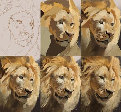 Draw A Lion, Beginners Acrylic Painting, Paint Tutorials, نباتات منزلية, Lion Painting, 캐릭터 드로잉, Animal Drawing, Arte Inspo, Digital Painting Tutorials