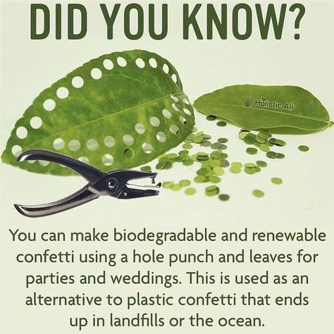 Leaf Confetti, Biodegradable Confetti, Health Post, Wedding Confetti, Amazing Animals, Hole Punch, Helping Others, How To Run Longer, Just In Case