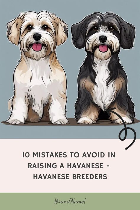 10 Mistakes to Avoid in Raising a Havanese Raising a Havanese can be a delightful experience, given their affectionate nature and charismatic personality. However, as with any breed, there are certain pitfalls that can hinder their health, happiness, and behavior. Here are ten mistakes to avoid when raising a Havanese… Havanese Grooming Styles, Havanese Dogs Haircuts, Havanese Dogs Full Grown, Chocolate Havanese, Havanese Full Grown, Havanese Breeders, Havanese Haircuts, Charismatic Personality, Farm Dream