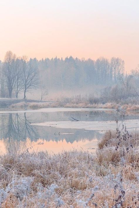 Pastel Winter, Snow Nature, Mountain Landscape Photography, Landscape Photography Tips, Winter Landscapes, Winter Nature, Landscape Photography Nature, Winter Scenery, Tableaux Paysage