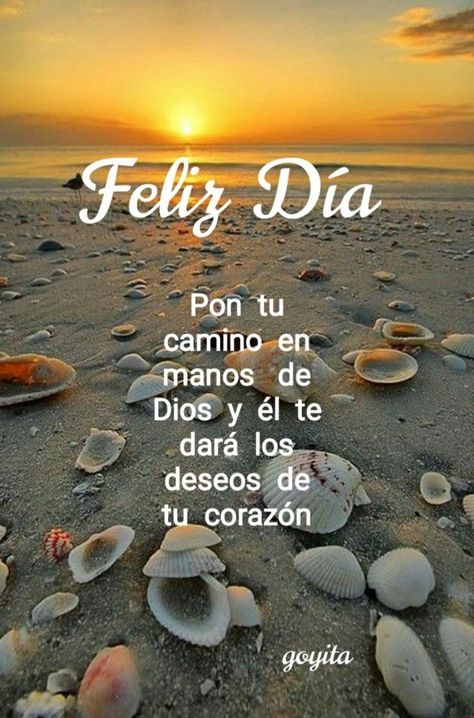 Morning Sunshine Quotes, God's Miracles Quotes, Good Morning Hug, Good Day Messages, Quotes Good Morning, Blessing Words, Cute Spanish Quotes, Good Morning Sunshine Quotes, Good Morning Inspiration