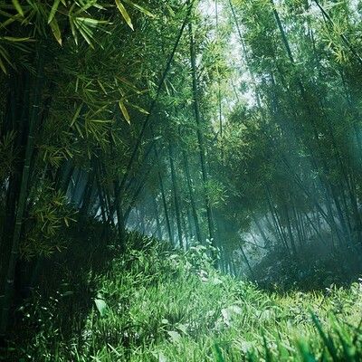 Bamboo Forest Aesthetic, Chinese Forest, Bamboo Aesthetic, Perspective References, Bamboo Forest Japan, Forest Lighting, Village Witch, Map Ideas, Magic Light