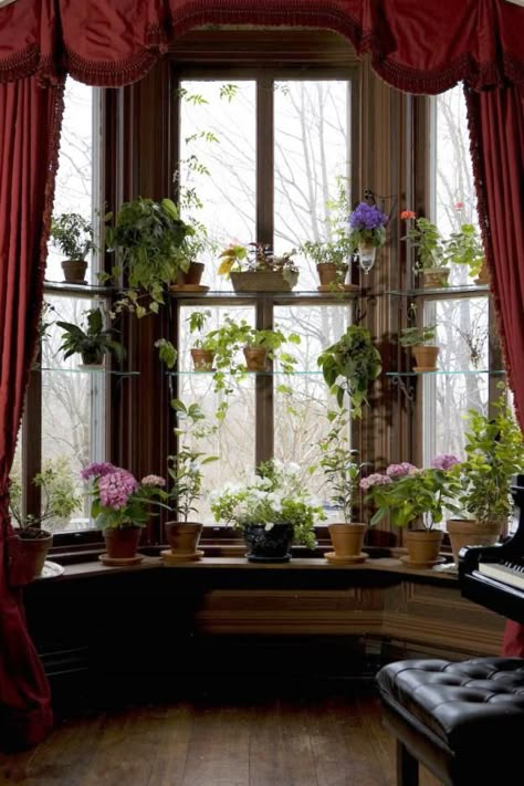 So beautiful! Iron brackets hold glass shelves at varying heights to display many varieties of plants. The window seat is also incorporated as a display area. Bay Window Plants, Kitchen Window Plants, Window Garden Ideas, Window Plant Shelf, Bay Window Ideas, Plant Window, Window Shelves, Window Plants, Window Garden