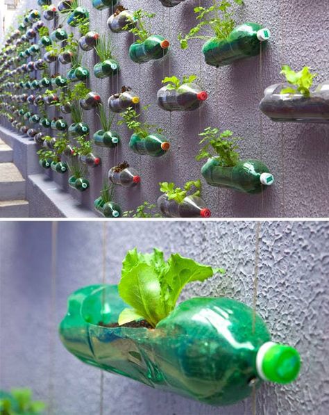 15 Creative Ways To Reuse Plastic Bottles Uses For Plastic Bottles, Empty Plastic Bottles, Reuse Plastic Bottles, Plastic Bottle Flowers, Plastic Recycling, Recycled Art Projects, Recycled Garden, Bottle Garden, Garden Crafts Diy