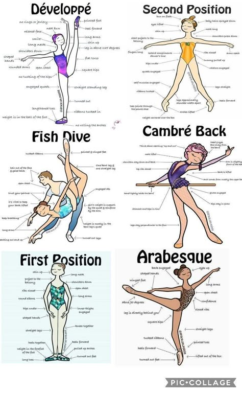 Ballet Terminology, Dance Terms, Ballet Tips, Ballet Terms, Ballet Basics, Beginner Ballet, Ballet Training, Ballerina Workout, Ballet Stretches