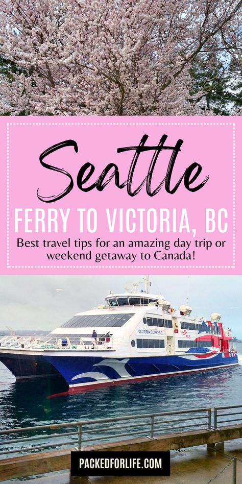 A ferry traveling from Seattle to Victoria with a scenic view of cherry blossoms in the background. Seattle Ferry Trips, Seattle With Kids, Seattle Itinerary, Seattle Weekend, Seattle Ferry, Washington Things To Do, Day Trips From Seattle, Seattle Travel Guide, Washington Trip