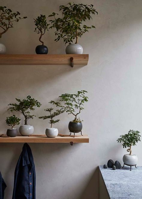 Williamsburg's Fox Fodder Farm is an alluring space where flora, curated artisan products and thoughtful events come together in harmony... Fox Fodder Farm, Japanese Plants, Indoor Tree, Interior Plants, Japanese Interior, Japanese House, Plant Design, Come Together, Interior Inspo