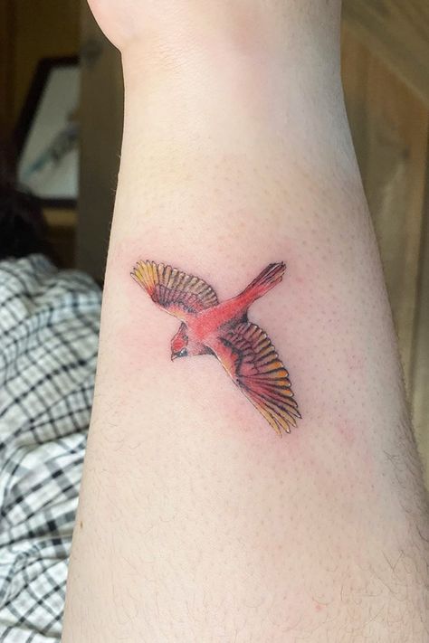 Cardinal Tattoo Wrist, Cardinal Arm Tattoos For Women, Cardinal Wings Tattoo, Cardinal In Flight Tattoo, Guys Collar Bone, Cardinal Flying Tattoo, Redbird Tattoo, Cardinal Tattoo For Men, Small Cardinal Tattoos For Women