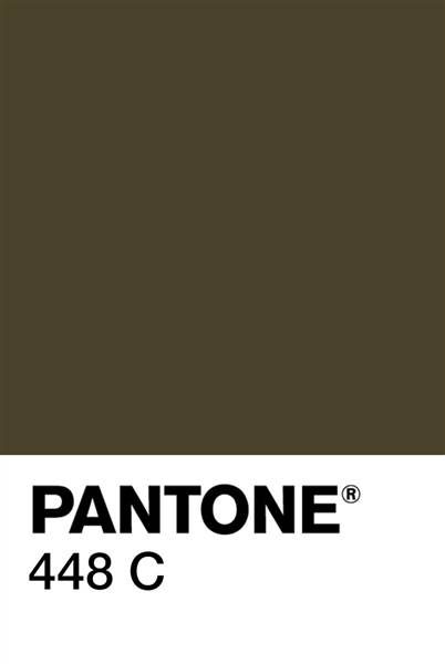 Pantone Shade Card, Pantone Cards, Painted Trim, Shade Card, Color My World, Colour Palettes, Color Shades, Color Inspiration, True Colors