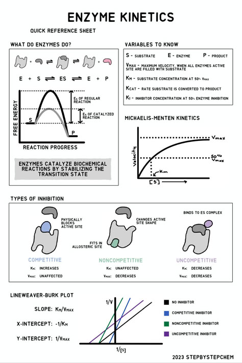 Reference sheet for enzyme kinetics for biochemistry students. Explains general theory, key terms, and types of inhibitors. Enzymes Biochemistry, Lipids Biochemistry Notes, Enzyme Kinetics, Mcat Study Tips, Biochemistry Notes, Organic Chemistry Study, Mcat Study, Medicine Notes, Biology Resources