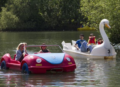 Row, row, row your boat... Muswell Hill London, Lake Deck, Lakeside Cafe, Swan Boat, Farm Retreat, Muswell Hill, Row Row Row Your Boat, Cool Objects, Alexandra Palace