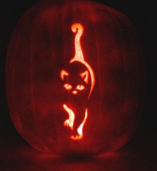 Tall Pumpkin Carving, Tall Pumpkin Carving Ideas, Cool Pumpkin Carving, Cat Pumpkin Carving, Tall Pumpkin, Halloween Pumpkin Carving Stencils, Creative Pumpkin Carving, Amazing Pumpkin Carving, Easy Pumpkin Carving