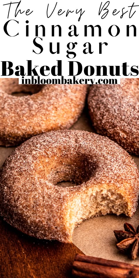 These are the best cinnamon sugar donuts! They're super moist, full of cinnamon flavor and rolled in a cinnamon-sugar mixture! These delicious donuts will be your new favorite recipe! Cinnamon Sugar Donut Recipe, In Bloom Bakery, Bloom Bakery, Doughnut Recipes, Christmas Trifle, Baked Donut, Homemade Donuts Recipe, Homemade Doughnuts, Cinnamon Donuts