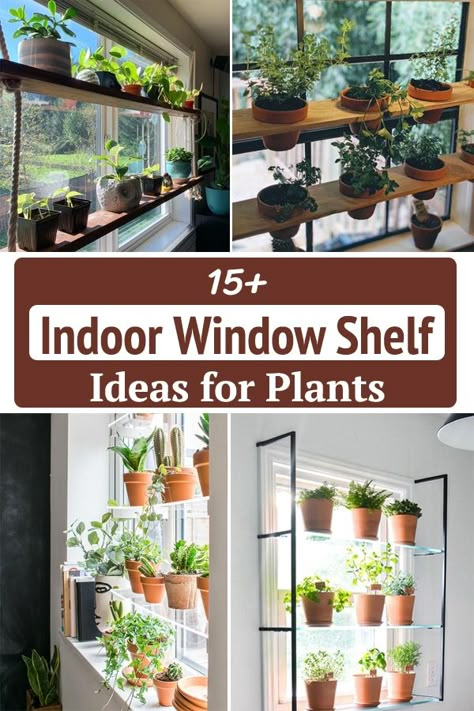 Indoor Window Sill Planter Ideas, Hanging Plants Bathroom Window, Window Hanging Plants Diy, Plant Stands For Windows, Atrium Plants Ideas, Hanging Shelf In Front Of Window, Window Ledge Plants Indoor, Window Seat Plant Ideas, Plant Window Ledge