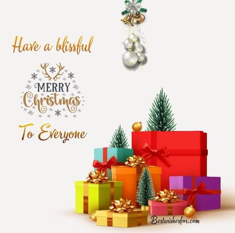 Merry Christmas Wishes For Everyone | Best Wishes Happy Christmas Wishes, Christmas Sayings, Xmas Greetings, Happy Xmas, Messages Quotes, Merry Christmas Wishes, Merry Christmas To All, Merry Christmas Everyone, Wishes Messages