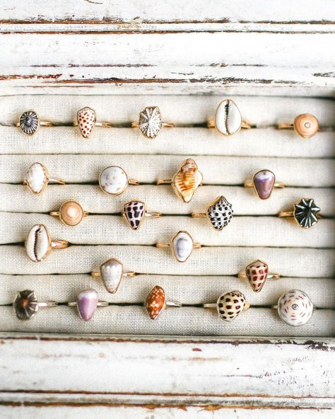 Sunny and turquoise cuff 💙 (sorry, it’s sold!) | Instagram Seashell Ring Diy, Jewelry With Seashells, Handmade Beach Jewelry, Seashell Jewelry Aesthetic, Shell Rings, Small Shell Crafts, Jewelry With Shells, Shell Photography, Shell Jewelry Ideas