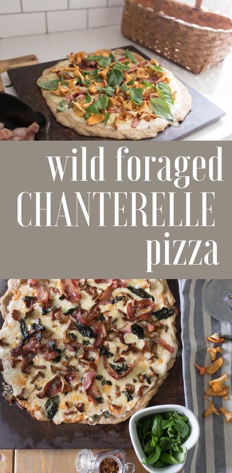 Wild foraged chanterelle pizza chanterelle mushroom recipes #chanterelles #chanterelle #chanterellemushroom #mushrooms #wildedibles #hike #statepark #pizza #recipe Chanterelle Pizza, Chanterelle Mushroom Recipes, Chanterelle Recipes, Mushrooms Wild, Wild Mushroom Recipes, Chanterelle Mushrooms, Foraged Food, Edible Food, Wild Edibles