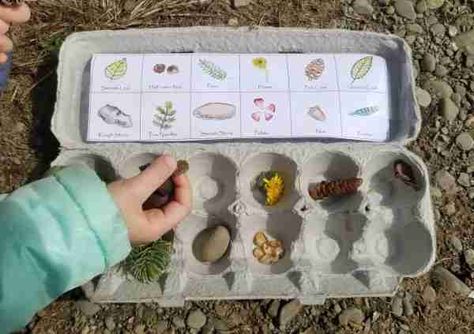 Kindergarten Autumn Activities, Nature Crafts Kids, Forest Kindergarten, Montessori Kindergarten, Nature Scavenger Hunt, Outdoor Learning Activities, Forest School Activities, Diy Preschool, Kindergarten Art Projects