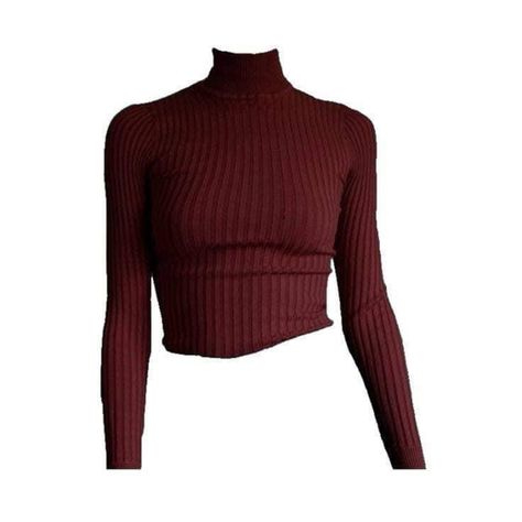 Accessories Aesthetic Png, Png Outfits Aesthetic, Turtle Neck Fits, Hogwarts Dr, Png Clothes, Outfit Png, Red Turtleneck, Ribbed Knit Sweater, Outfit Shoplook