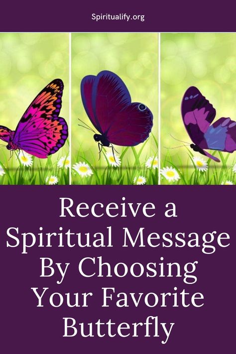 Receive a Spiritual Message By Choosing Your Favorite Butterfly Three Butterflies, Deep Thinking, I Am Worthy, Spiritual Messages, Small Moments, Spiritual Path, Physical Wellness, Ancient Symbols, Look In The Mirror