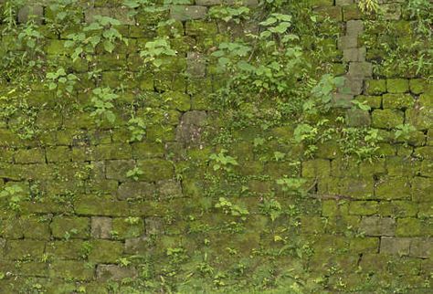 Mossy & Overgrown Brick Wall Textures & Backgrounds Brick Wall Texture, Photo Texture, Theatre Design, Public Art, Brick Wall, Textured Background, Textured Walls, Free Images, Texture