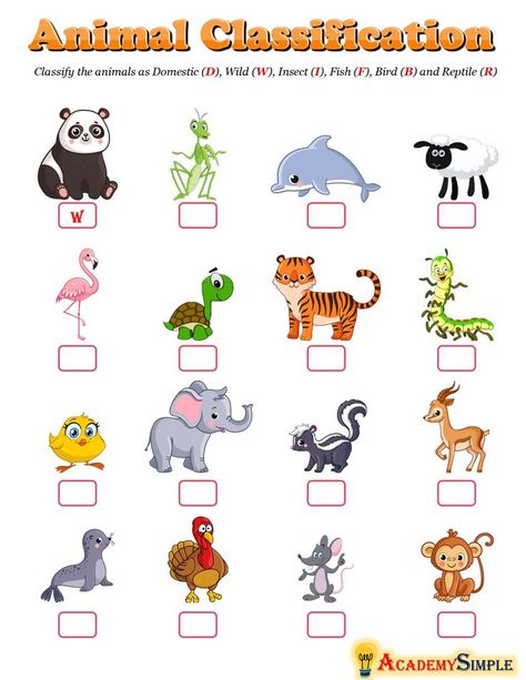 Domestic Animals Preschool, Animal Classification Worksheet, Evs Worksheet, Media Pembelajaran, Kinds Of Animals, Zoo Activities, Kindergarten Phonics, Telling Time Worksheets, Holiday Homework