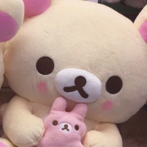 — 𝘳𝘢𝘳𝘦𝘱𝘦𝘢𝘤𝘩𝘺𝘭𝘰𝘣𝘰𝘵𝘰𝘮𝘺🧸 Stuffed Animals, Teddy Bear, Animals, Pink