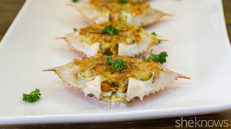 Make decadent stuffed crabs for a delicious showstopping dinner Crab Recipes Easy, Stuffed Crab, Crab Shells, Crab Recipes, Healthy Living Lifestyle, Recipes Easy, Repurpose, Summer Recipes, Great Recipes