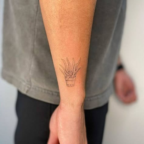 Manly Plant Tattoo, Snake Plant Tattoo Simple, Aloe Vera Plant Tattoo, Aloe Plant Tattoo, Minimal Plant Tattoo, Snake Plant Tattoo, Plant Tatoos, Aloe Tattoo, Aloe Vera Tattoo