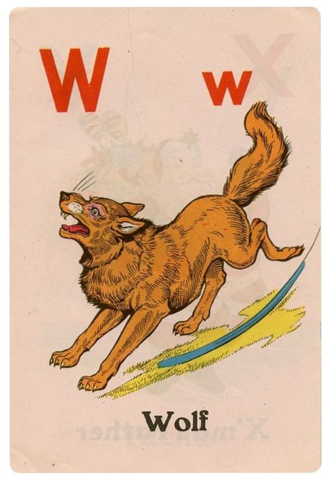 Vintage Dog Illustration, Moon Wolf, Wolf Illustration, Leaping Bunny, Matchbox Art, Traditional Tattoo Art, Traditional Tattoo Flash, Japanese Tattoo Art, Vintage Tattoo