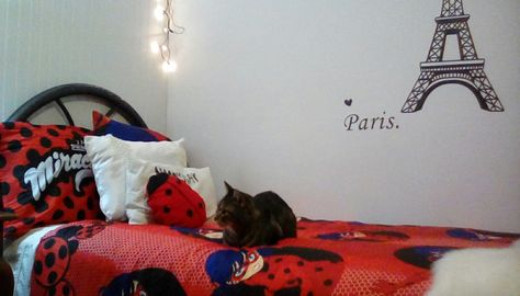 When you realize that you miraculous has become your life Miraculous Bedroom Ideas, Miraculous Room Decor, Miraculous Ladybug Room Decor, Ladybug Room Decor, Ladybug Bedroom, Miraculous Marichat, Ladybug Room, Candy Gift Baskets, I Love Pic