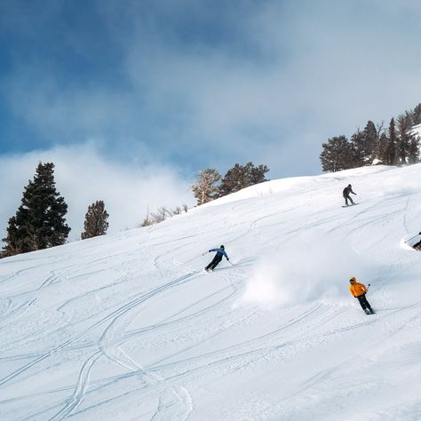 7 Best Utah Ski Resorts | Condé Nast Traveler Romantic Cabin Getaway, Utah Resorts, Whistler Ski Resort, Utah Ski, Utah Ski Resorts, Stevens Pass Washington Ski Resorts, Big Sky Ski Resort, Park City Mountain, Utah Skiing