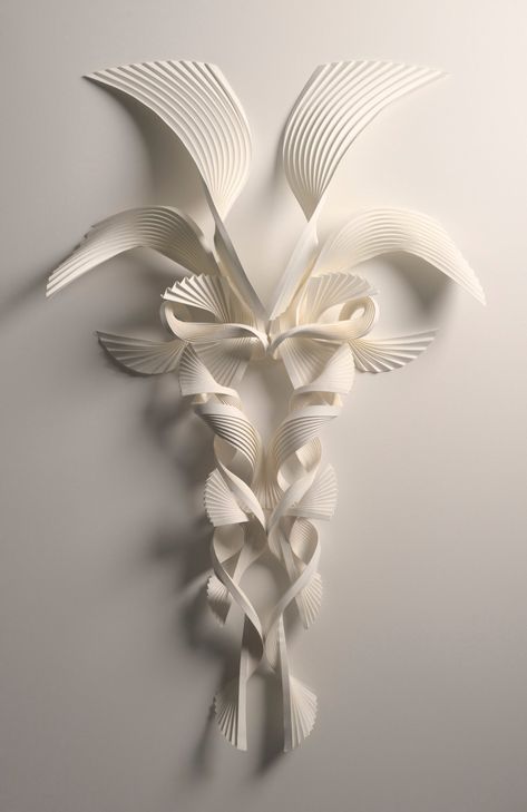 Richard Sweeney, Organic Structure, Paper Sculptures, Colossal Art, Modern Crafts, Visual Culture, Animal Skulls, Paper Sculpture, Abstract Sculpture