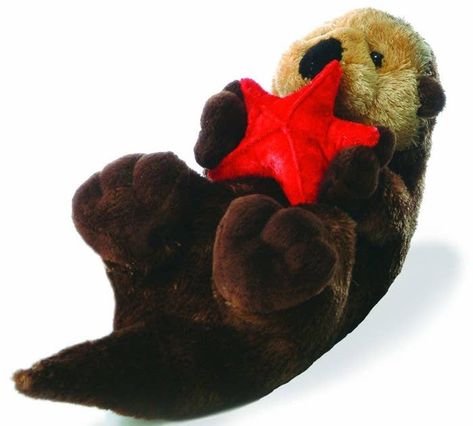 An otter holding a starfish sure to generate many "aww"s because it is otterly precious! Piskel Art, Cuddle Buddy, Favorite Animals, Sea Otter, Cuddly Toy, Cute Stuffed Animals, Cute Toys, Cute Plush, Plush Animals