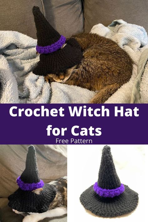 Crochet Witches Hat For Cat, Crochet Wizard Hat For Cat, Free Pet Hat Crochet Pattern, Crochet Cat Witch Hat Pattern, Crochet Cat Wizard Hat Pattern, Free Crochet Pet Hat Patterns, Crochet Witch Hat For Cat, Crochet Wizard Hat For Cat Free Pattern, Free Cat Hat Pattern