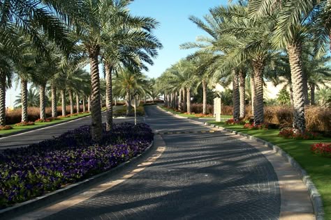 Arrival streetscape Gated Community Landscape Design, Park Entrance Design Landscape, Resort Driveway Entrance, Resort Entrance Landscape, South Coast Plaza, Resort Lighting Landscape, Streetscape Design, Urban Design Plan, Photography Jobs