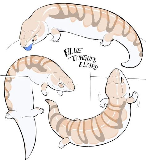 Cute Snake Art, Lizard Drawing, Blue Tongue Skink, Cute Reptiles, Snake Art, Creature Drawings, Creature Concept Art, Red Dragon, Cute Little Drawings