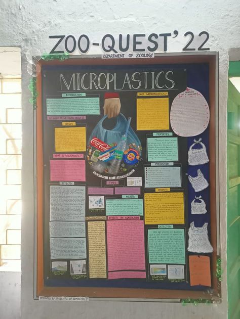 Microplastic chart poster layout college project science Poster On Dowry System, Microplastics Poster, Charts For Science Exhibition, Microplastic Infographic, Microplastics Pollution, Zoology, The Originals, Quick Saves