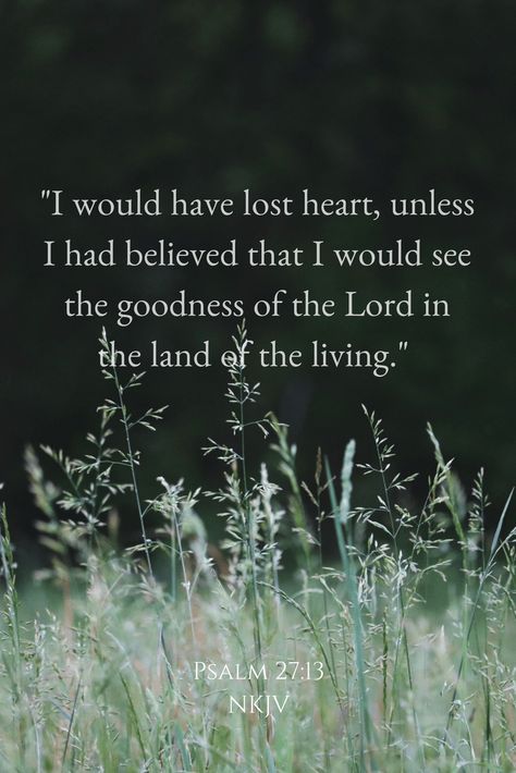 "I would have lost heart, unless I had believed that I would see the goodness of the Lord in the land of the living." - Psalm 27:13 NKJV The Goodness Of The Lord, Worship Scripture, Psalm 27 13, Jesus Crucified, The Goodness Of God, Psalm 95, Goodness Of God, Land Of The Living, Spiritual Warfare Prayers